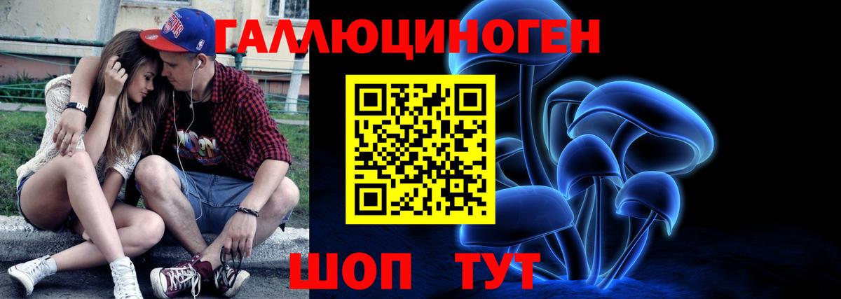 Псилоцибиновые грибы GOLDEN TEACHER Шадринск