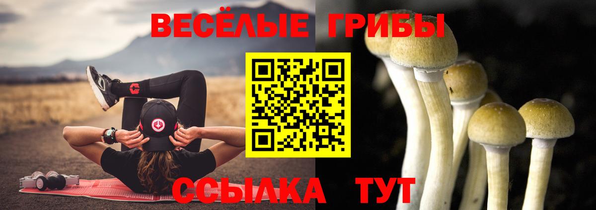 Шадринск  Псилоцибиновые грибы Magic Shrooms  Вход с VPN 